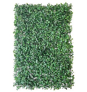 Placa de Grama de Eucalipto para Jardim Vertical (40x60cm)