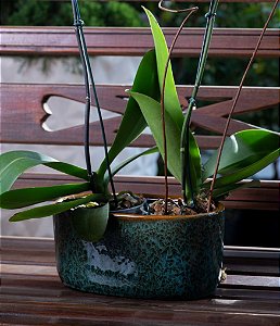 Cachepot Bacia Verde em Cerâmica Esmaltada com Fundo Caramelo (11x22)