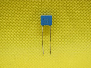 CAP POL 1K/100V B32529C1102J289