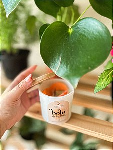 Bolo de Laranja • Vela aromática
