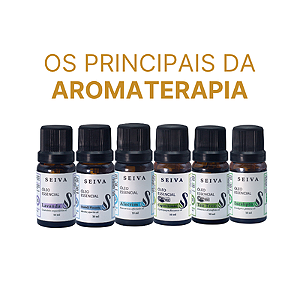 Combo Óleos Essenciais - OE Lavanda, Hortelã Pimenta, Alecrim, Capim Limão, Tea Tree e Eucalípto