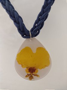 Coleção " Laçadas do Brasil " 1