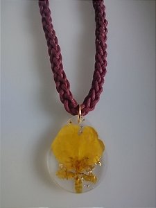 Coleção " Laçadas do Brasil " 6