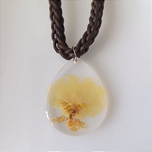 Coleção " Laçadas do Brasil " 21