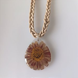 Coleção " Laçadas do Brasil " 29