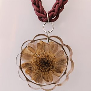 Coleção " Laçadas do Brasil " 40