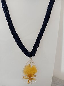 Coleção " Laçadas do Brasil " 46