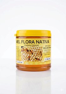 MEL FLORA NATIVA 1 KG - PRODUTO COLONIAL DE SANTA CATARINA