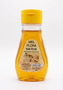 MEL FLORA NATIVA 250g- PRODUTO COLONIAL DE SANTA CATARINA
