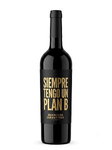 VINHO TINTO SIEMPRE TENGO UN PLAN B GRAN RESERVA CABERNET FRANC 750ML