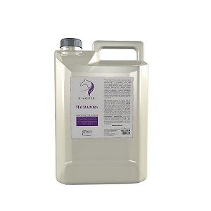 Shampoo Matizador 5L