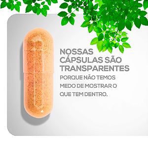 Kit 2 Potes Espinheira Santa 500mg | Tratamento e Conforto Gástrico (Economia)