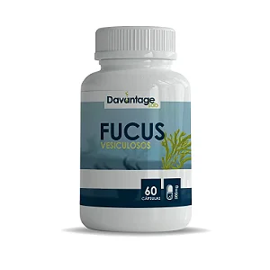 Fucus Vesiculosus 500 mg – 60 Cápsulas