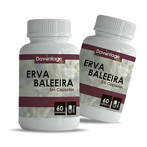 Kit 2 Potes Erva Baleeira 500 mg – 120 Cápsulas