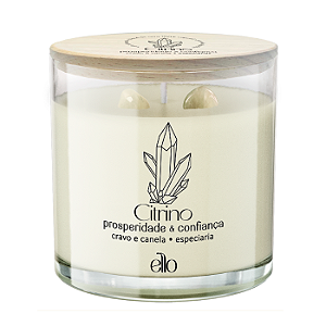 Citrino - Cravo e Canela - Vela Aromática - 170g