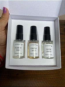 Kit Mini Home Spray