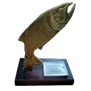Trofeu Dourado Médio - Fishtex