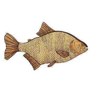 Peixe Decorativo Pacu - Dfish