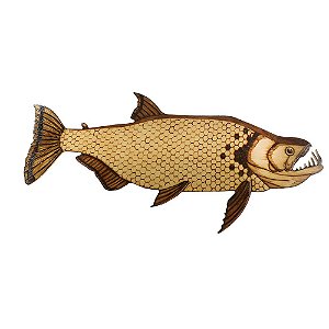Peixe Decorativo Cachorra - Dfish