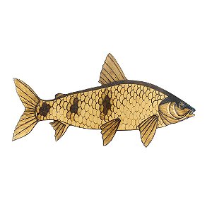 Peixe Decorativo Piapara - Dfish