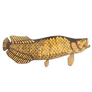 Peixe Decorativo Pirarucu - Dfish