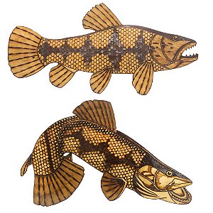 Peixe Decorativo Traira - Dfish