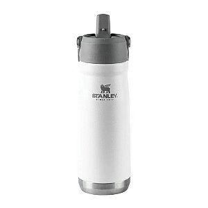 Garrafa Térmica Flip Straw Pollar 651ml - Stanley
