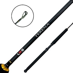 Vara Para Carretilha Terena Cast 1.98m 20-60 libras Inteiriça - LMS