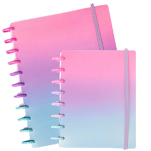 Combo Caderno de Disco 1 Grande + 1 A5 - Basic Floresca