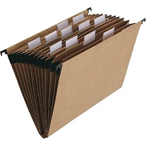 Pasta suspensa dellokraft sanfonada 12 div. - dello (unidade)
