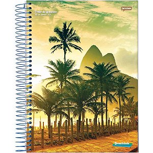 Caderno espiral 1/4 flexivel brasilidade 48fls. - jandaia (pct.c/20)