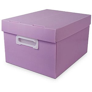Caixa organizadora the best box g 437x310x240 llp - polibras (unidade)