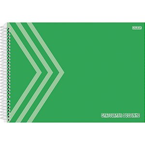 Caderno desenho univ capa dura verde 60f - animativa (pct.c/05)
