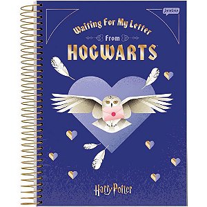Caderno 01x1 cp.dura colegial harry potter 80fls. - jandaia (pct.c/04)