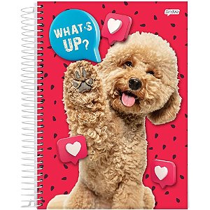 Caderno 01x1 capa dura pets love 80fls. - jandaia (pct.c/04)