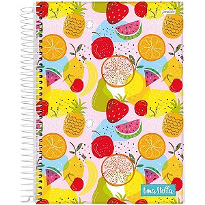 Caderno 20x1 capa dura stella 320fls. - jandaia (pct.c/02)