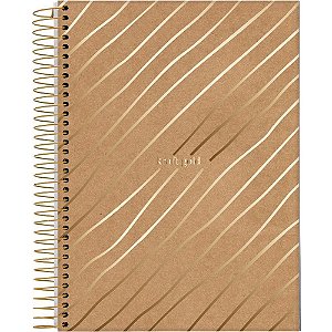 Caderno 01x1 capa dura kraft gold 80fls. - jandaia (pct.c/04)