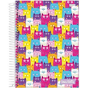 Caderno 01x1 capa dura stella 80fls. - jandaia (pct.c/04)