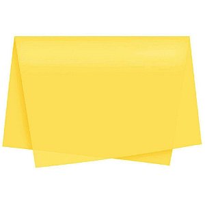 Poli sujinho liso 49x69cm amarelo - xingo embalagens (pct.c/50)