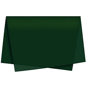 Poli sujinho liso 49x69cm verde escuro - xingo embalagens (pct.c/50)