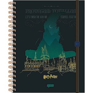 Caderno 01x1 capa dura harry potter neo univ. 80fls. - jandaia (unidade)