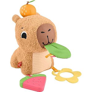 Fisher-price newborn toys capivara divertida com sons - mattel (unidade)