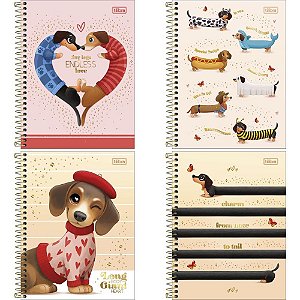 Caderno 10x1 cp.dura colegial brownie dog 120fls. 177x240mm - tilibra (pct.c/04)