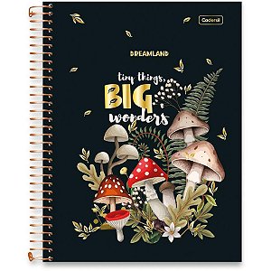 Caderno 10x1 capa dura dreamland metalizado 160fls - cadersil (pct.c/04)