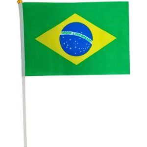 Copa do mundo bandeira brasil hast.mao 14x21 - nyr festas (pct.c/12)