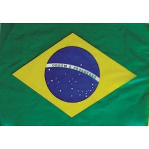 Copa do mundo bandeira brasil s/hast.30x47cm - real seda (pct.c/50)