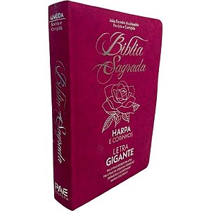 Livro de leitura biblia sagrada letras gd.832pg - pae editora (unidade)
