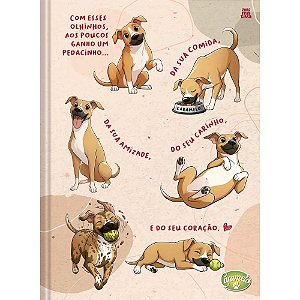 Caderno brochurao capa dura caramelo 96fls - animativa (pct.c/05)