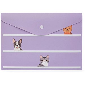 Pasta envelope a5 happy lab c/ botao - polibras (pct.c/05)