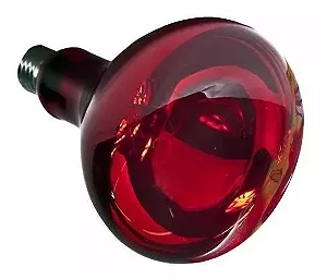 Lâmpada de Aquecimento P/ Pintinhos 220V 250W